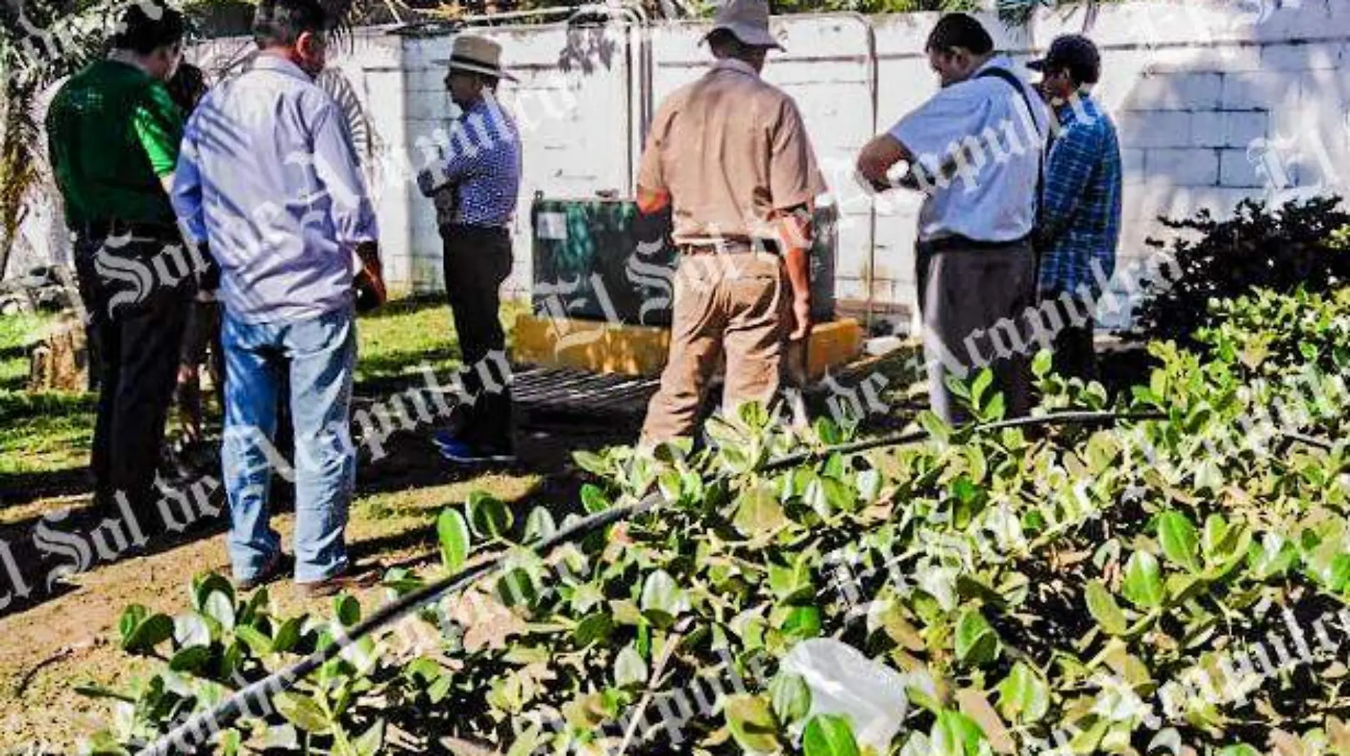 Acapulco - supervisan tuberías de aguas negras